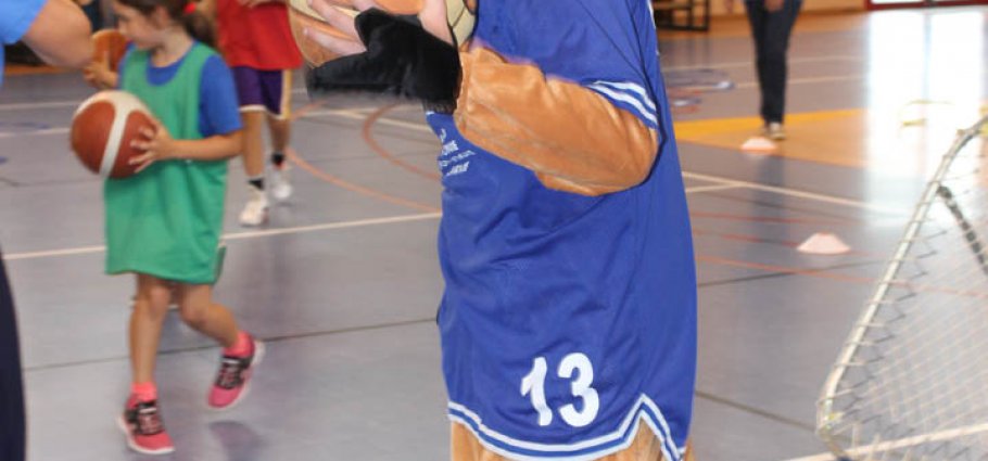 Label national école française du mini basket