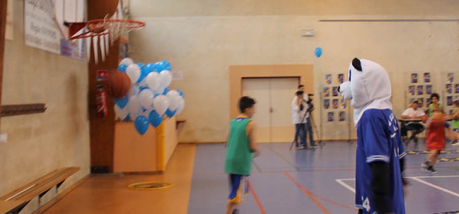 Label national école française du mini basket