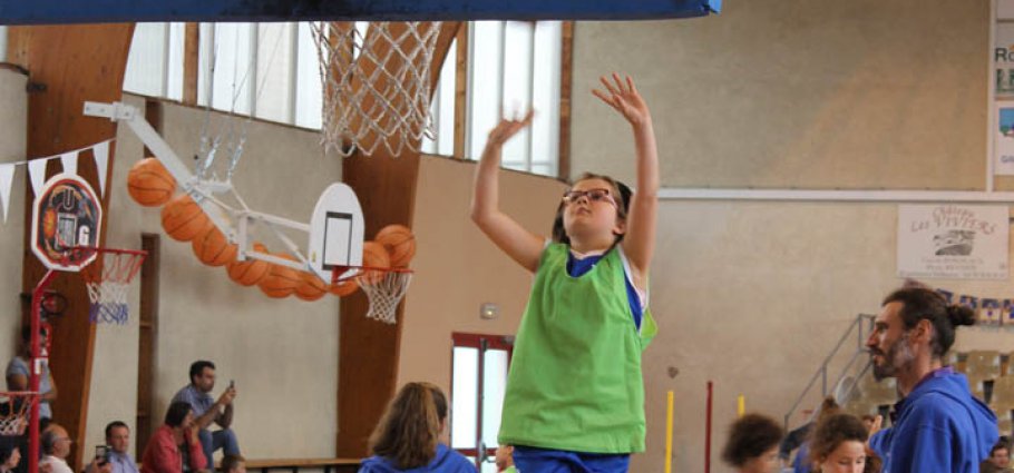 Label national école française du mini basket