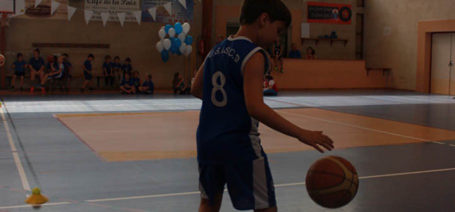 Label national école française du mini basket