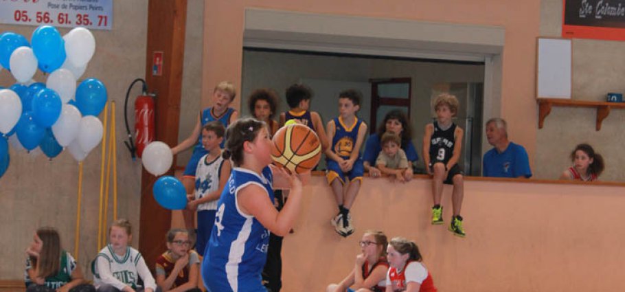 Label national école française du mini basket