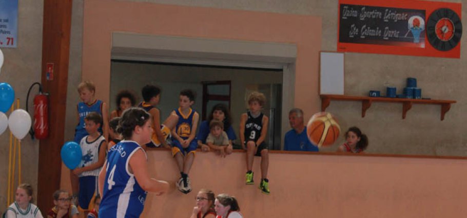 Label national école française du mini basket