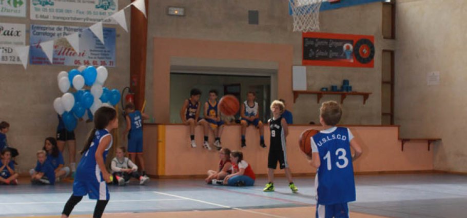 Label national école française du mini basket