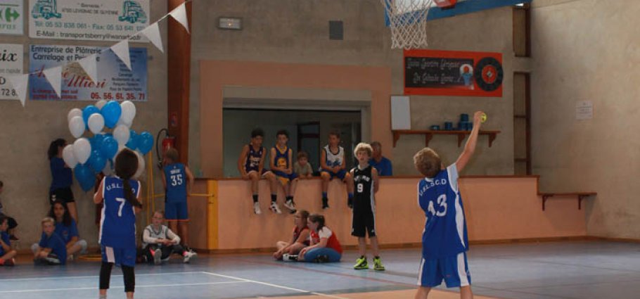 Label national école française du mini basket