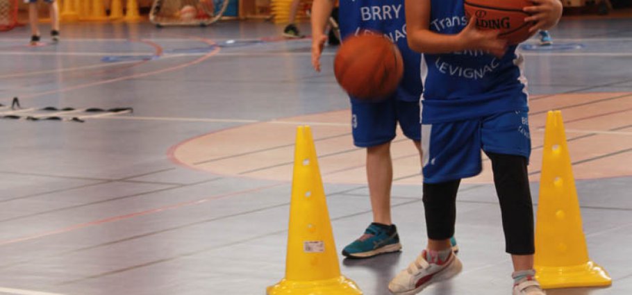 Label national école française du mini basket