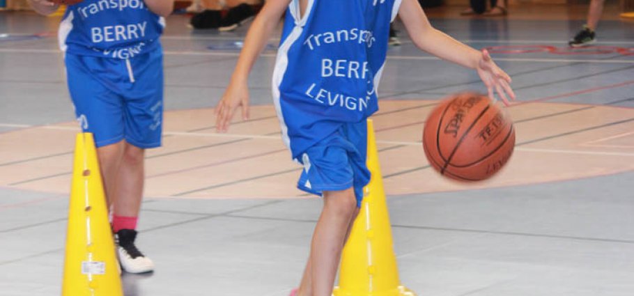 Label national école française du mini basket