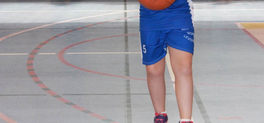 Label national école française du mini basket