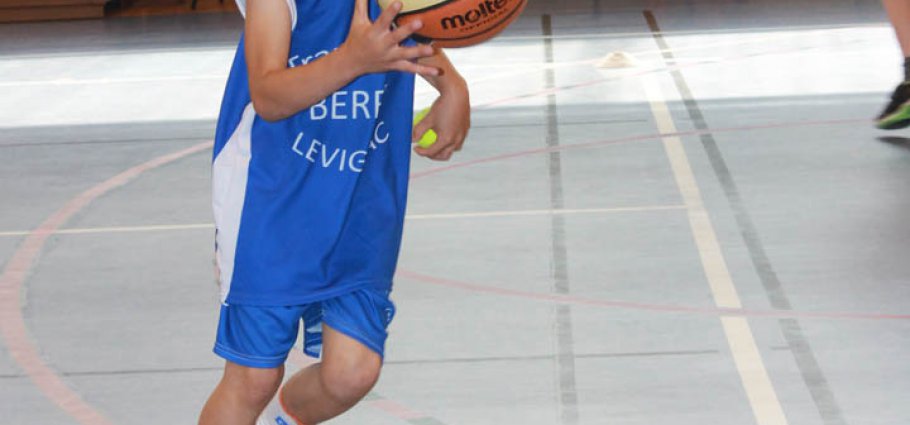 Label national école française du mini basket