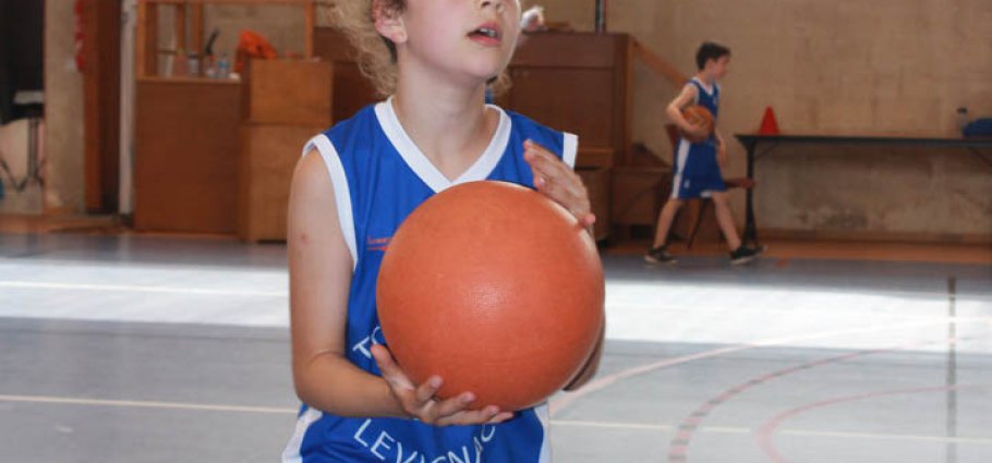 Label national école française du mini basket