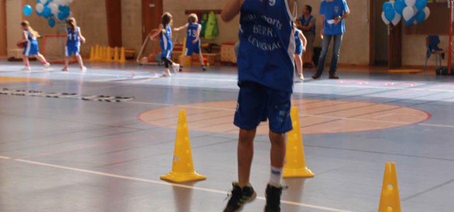 Label national école française du mini basket