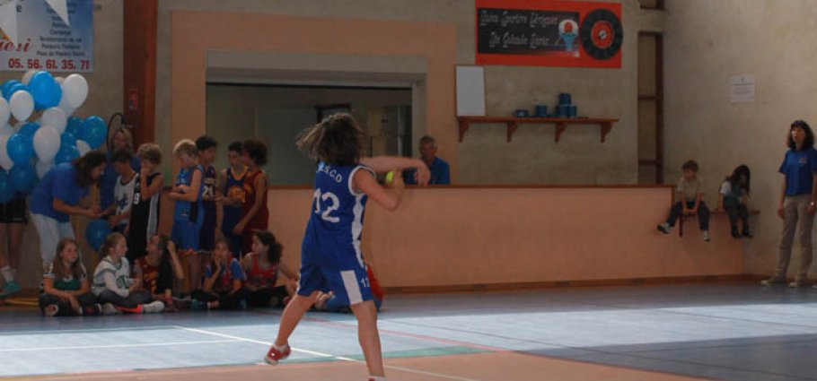 Label national école française du mini basket