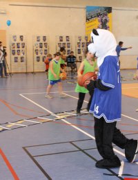 Label national école française du mini basket