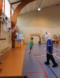 Label national école française du mini basket