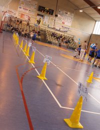 Label national école française du mini basket