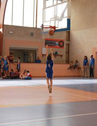 Label national école française du mini basket