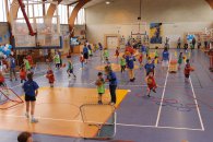 Label national école française du mini basket