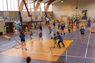 Label national école française du mini basket