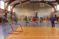 Label national école française du mini basket