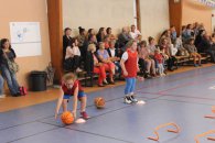 Label national école française du mini basket