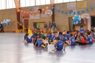 Label national école française du mini basket