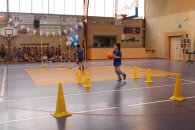 Label national école française du mini basket