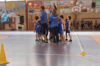 Label national école française du mini basket