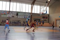 Label national école française du mini basket